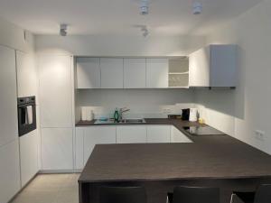 Modern Luxembourg City Center Apartment with big terrace