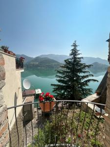 B&B La Casetta sul Lago