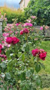 Appartements Gite les Dahlias : photos des chambres