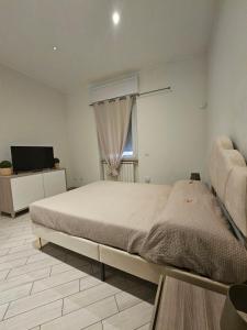 Dream & Fly Torre Clementina