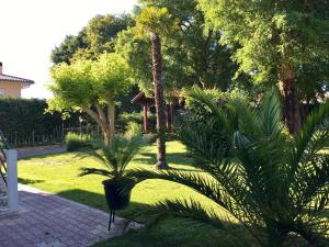 Appartements Location dans les Landes et le Pays basque : photos des chambres