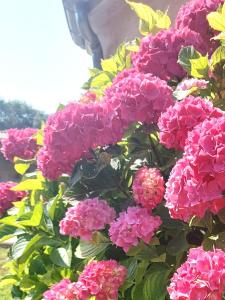 B&B / Chambres d'hotes Chez Agatha : photos des chambres