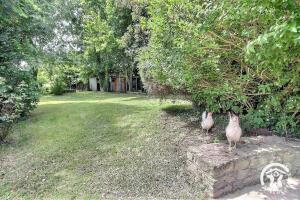 Maisons de vacances O nid des greves : photos des chambres