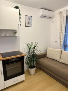 Albu Story By the Sea