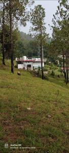 Carter and Victorias dream home