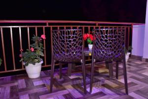 Himalayan Jungle Track View Kasauli