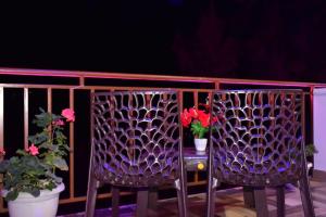 The Jungle Track Kasauli