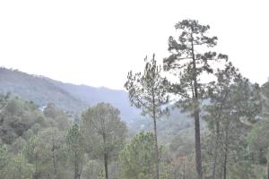 The Toy Train View 3BHK Villa With Pvt Balcony