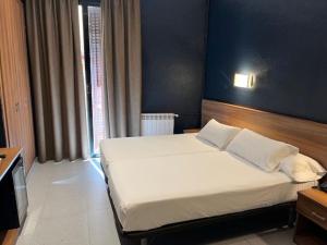 Hotel Aneto
