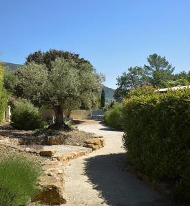 B&B / Chambres d'hotes Le Mas du Grand Chene - Chambres & Roulotte : photos des chambres