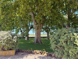 Maisons de vacances Le Domaine de Laforest : photos des chambres