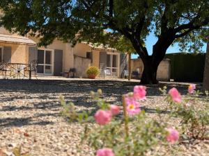 Appartements Tilleul - Laurier gite rural du Domaine de Laforest : Appartement 2 Chambres