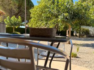 Appartements Tilleul - Laurier gite rural du Domaine de Laforest : photos des chambres