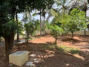 Eden luxury stay saravanampatti