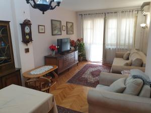 Spacious apartment in the center of Belgrade