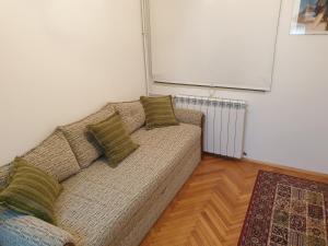 Spacious apartment in the center of Belgrade