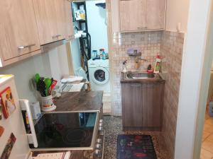 Spacious apartment in the center of Belgrade