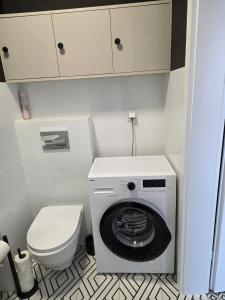 Urban Jungle Apartament Mars