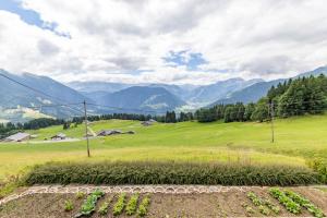 Chalets Chalet Face au Mont-Blanc : photos des chambres
