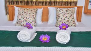 The Misty in Dambulla