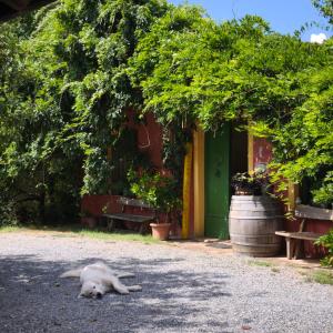 Agriturismo Cascina degli Ulivi