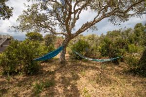 Villas A Terra - Villa a 200m de la mer : photos des chambres