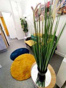 Appartements Le binic - proche gare et centre : photos des chambres