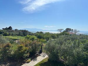 Modern Summer House Popi