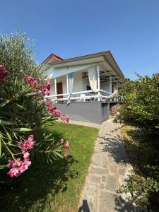 Modern Summer House Popi