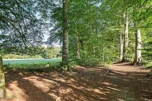 Peaceful Home Near Nature