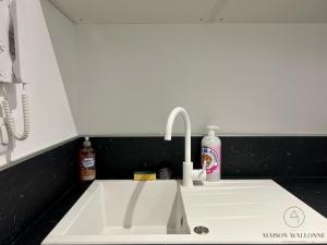 Appartements Le nid Remois -Pied a terre en champagne : photos des chambres