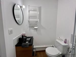 Appartements Le nid Remois -Pied a terre en champagne : photos des chambres