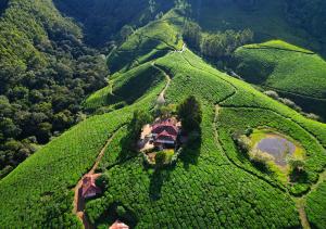 Arivikad Tea Bungalow Munnar by VOYE HOMES