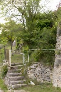B&B / Chambres d'hotes Chambres D-hotes Le Bellevue - : photos des chambres