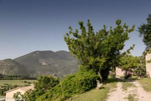 B&B / Chambres d'hotes Chambres D-hotes Le Bellevue - : photos des chambres