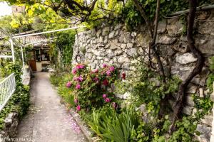 B&B / Chambres d'hotes Chambres D-hotes Le Bellevue - : photos des chambres