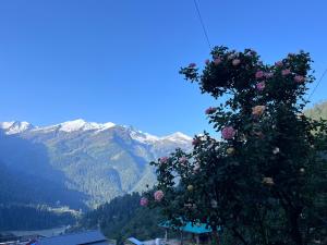 Mountain View guesthouses &cafe