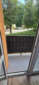 W Rabczańskiej Dolinie