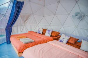 อาฉ่างแคมป์ Achang Camp