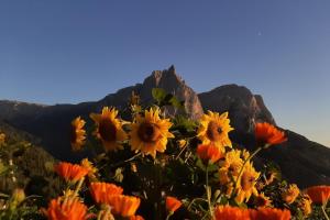 Superior One-Bedroom Apartment