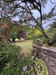 Villas Maison en pierres - Atypique - 3km du centre de Sarlat : photos des chambres