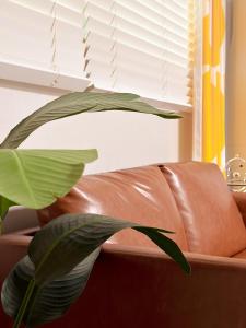 AirportBus3min #HotPlace #KonkukUniversity #Seongsu #TtukseomHangang #SeoulForest #SMTown