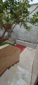 Villa lumineuse, double jardin