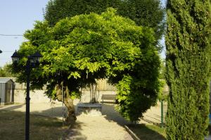 Villas Gites Angulus Ridet : photos des chambres