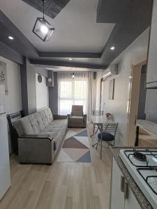 Zeytin Apart 1