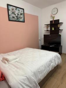Apartament Someseni