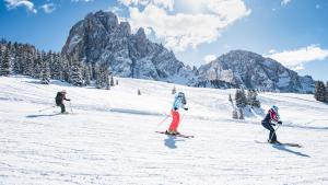 SAN PIETRO DOLOMITI Small Budget Hotel