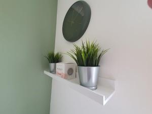 Luxury 1 bed apartment in East Croydon