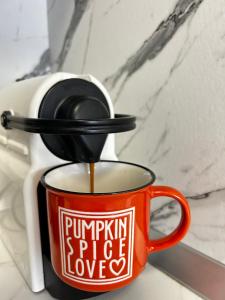 Rea Silena - Modern and Stylish Studio