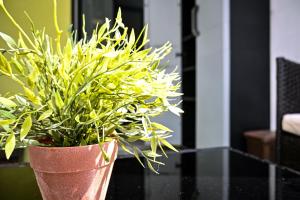 Appartements Le Golden - Centre Ville - Acces Transports en Commun - Balcon Cosy - Commerces a Proximite : photos des chambres